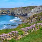 SW Coast Path bei Sennen Cove Beach ...