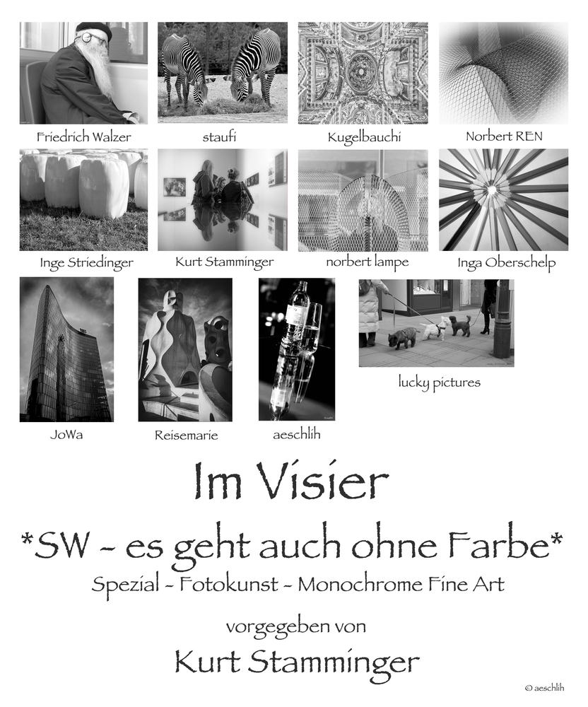 *SW - es geht auch ohne Farbe* Collage von aeschlih