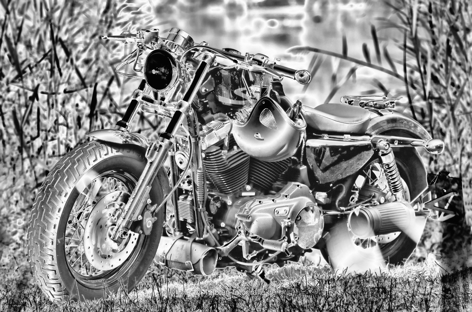 S/W Harley Davidson