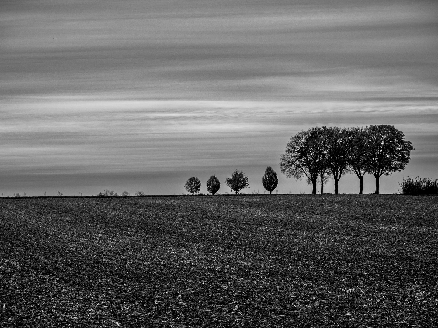 SW - Herbststimmung