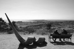 S/W Inselblick Hiddensee 