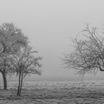 SW - Nebel und Raureif