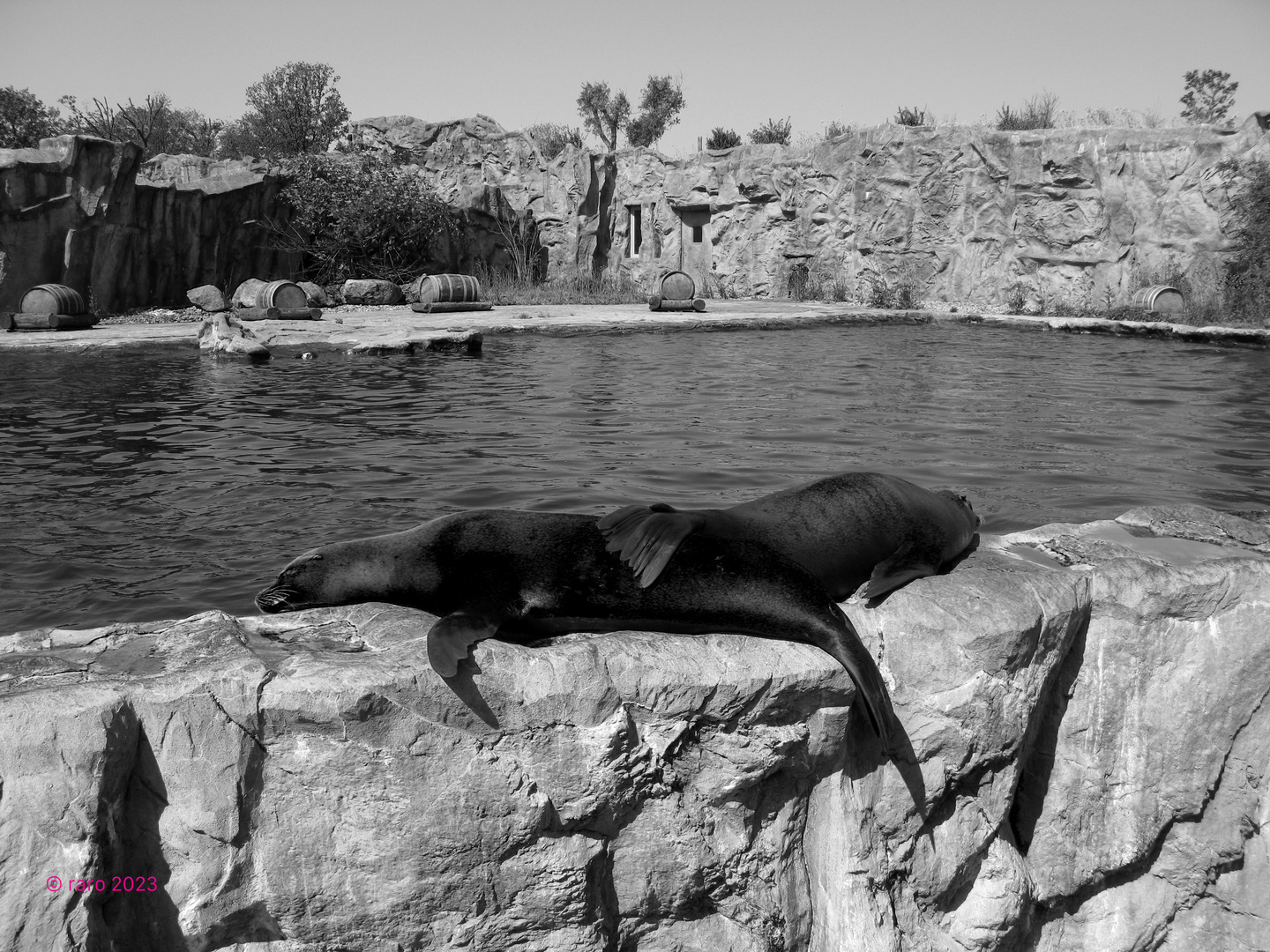 SW Tag im Zoo Gelsenkirchen