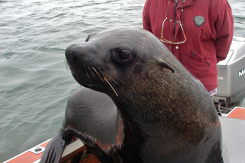 Swakopmund 20