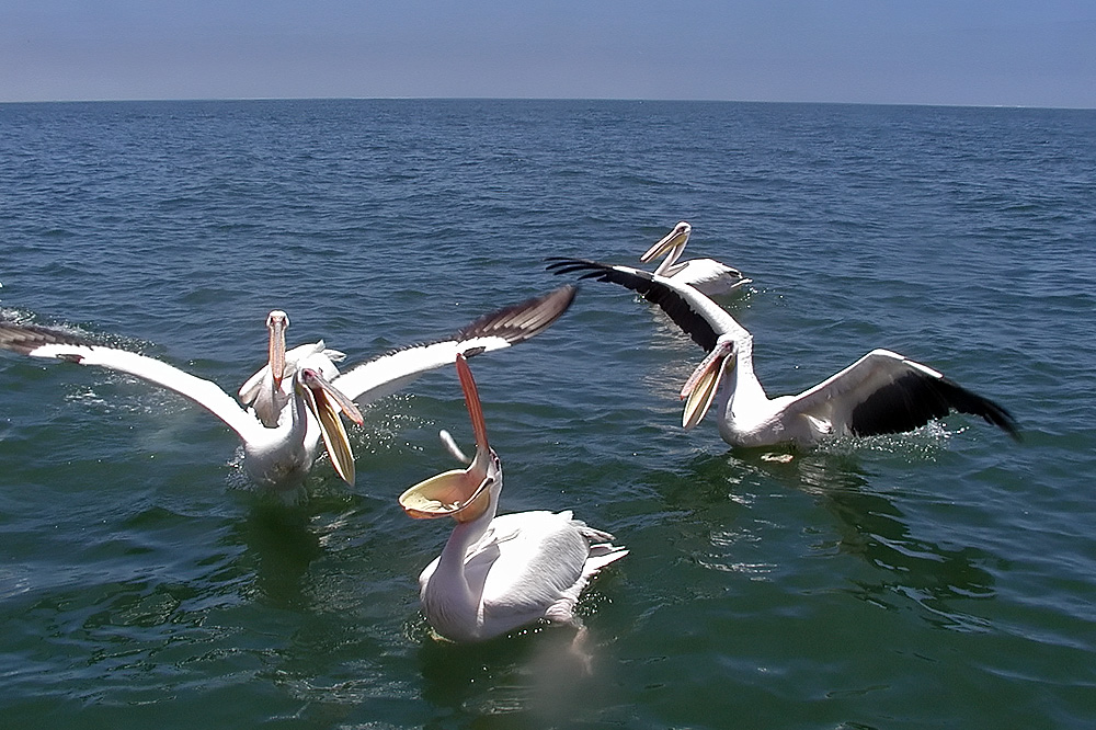 Swakopmund 26