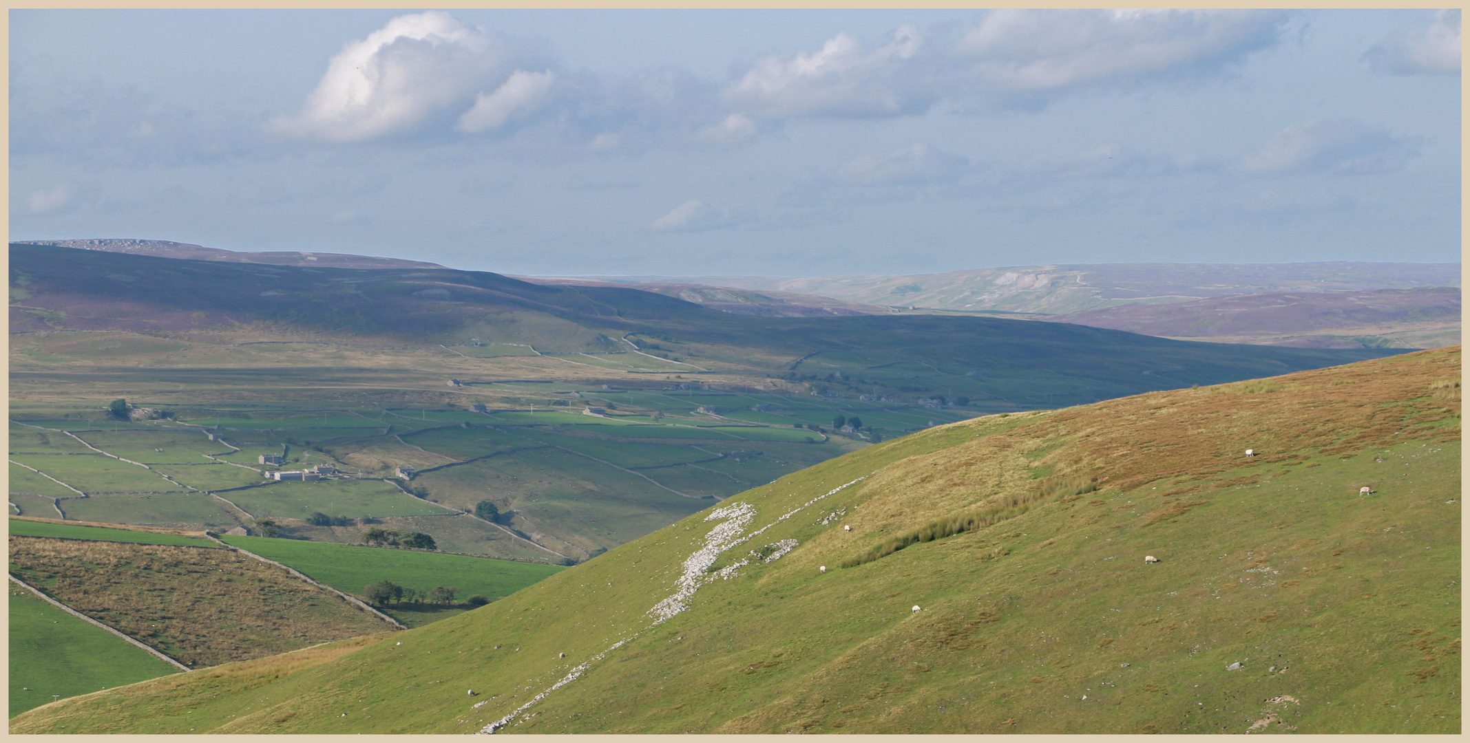 swaledale above summer lodge