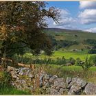 swaledale near Gunnerside 11