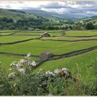 swaledale near Gunnerside