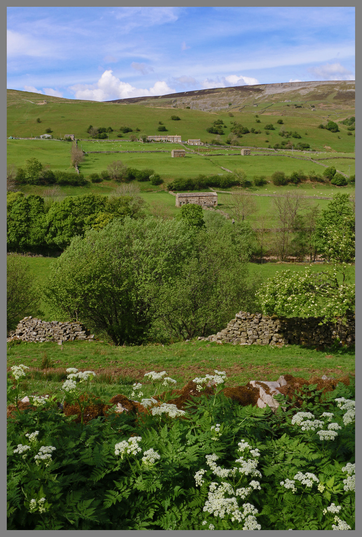 Swaledale near gunnerside 4