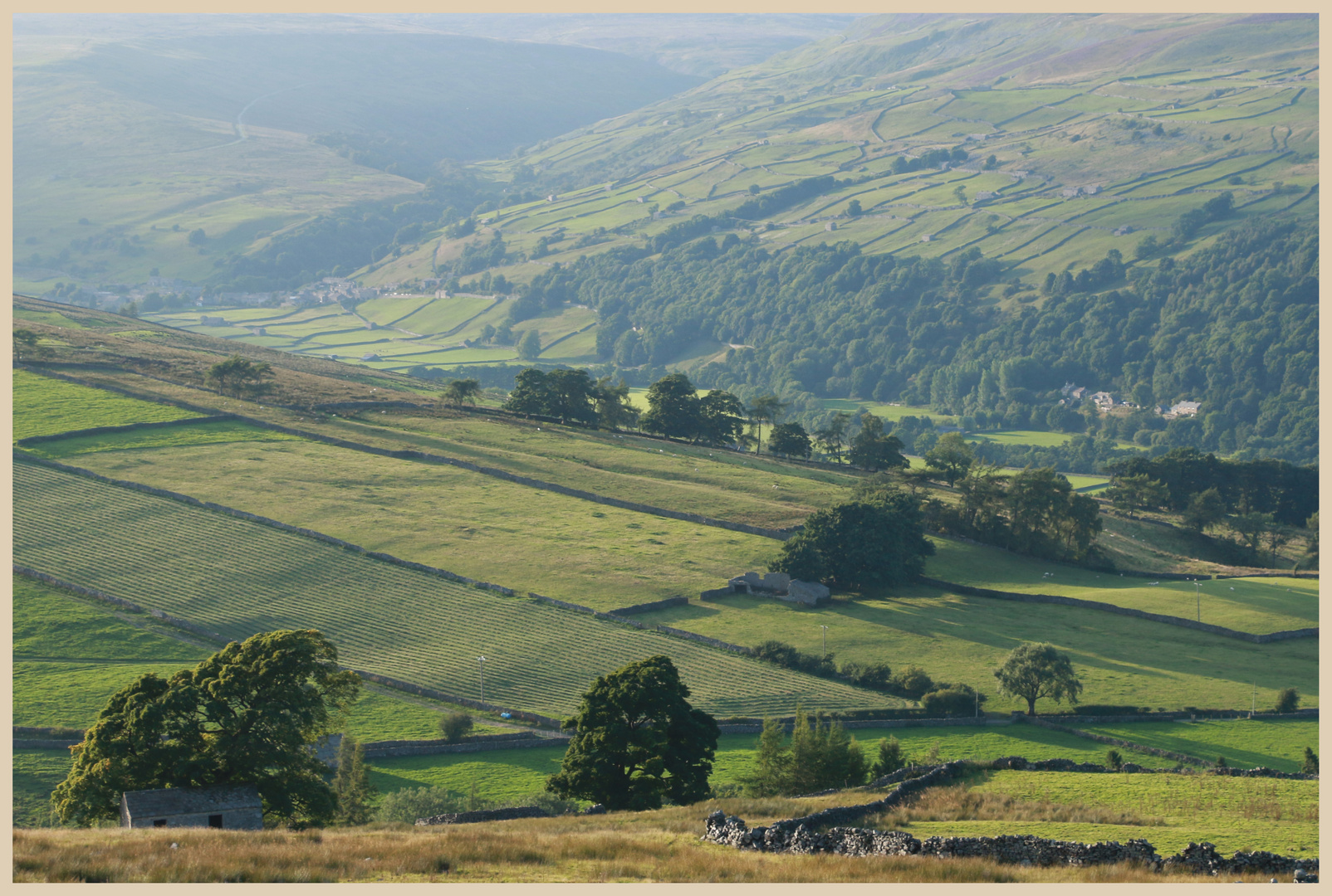 swaledale near Gunnerside 4