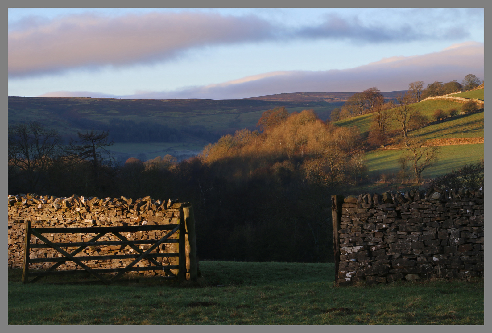 swaledale near marrick 3