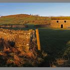 swaledale near marrick early morning