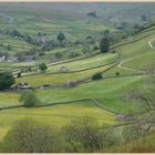 swaledale near muker