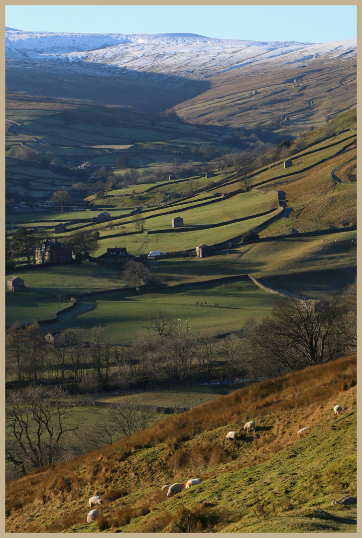 Swaledale near Muker 3