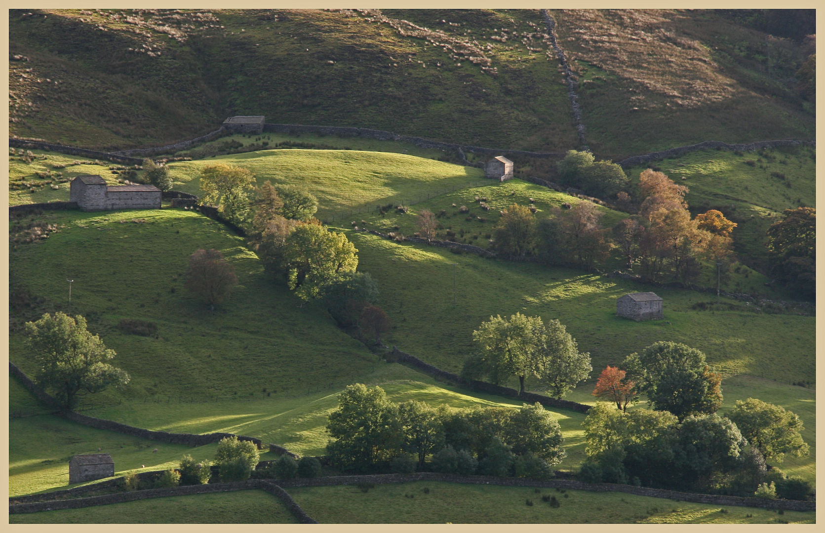 swaledale near muker