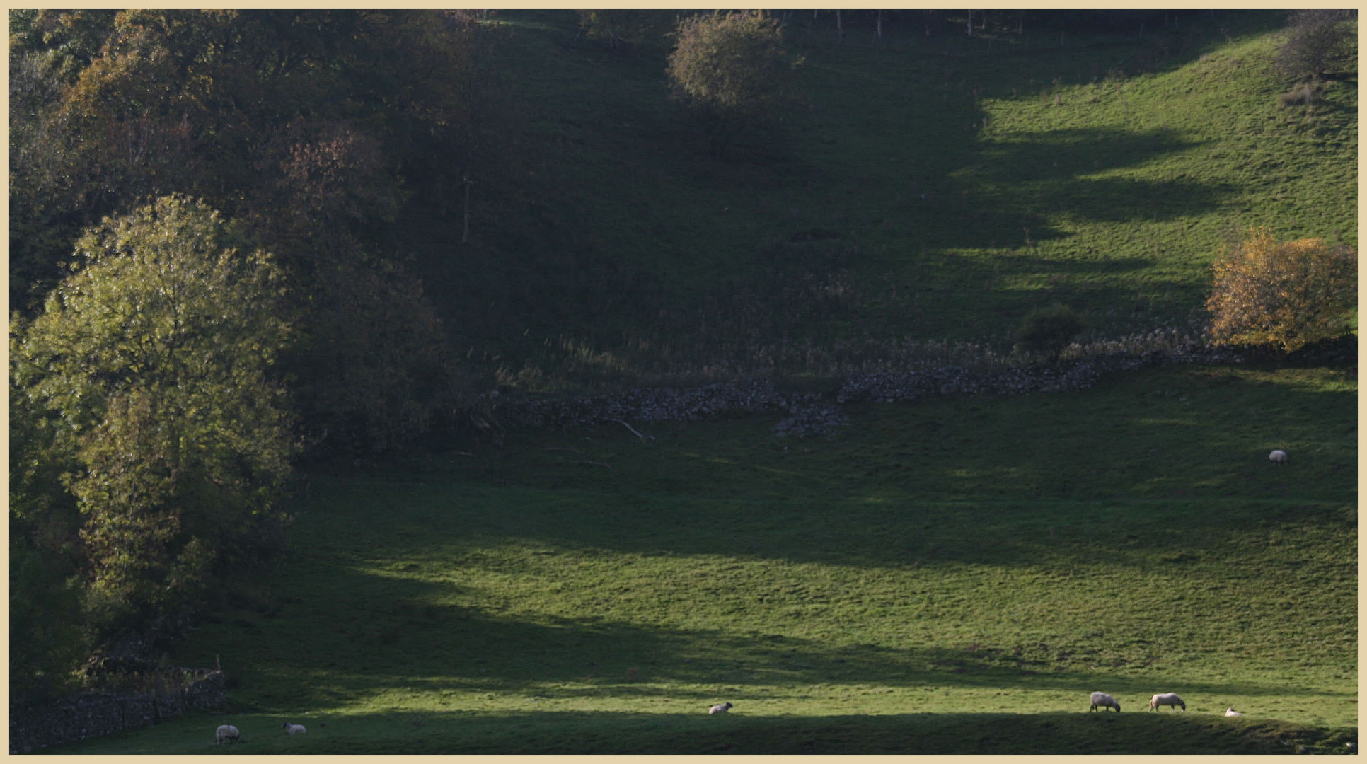 swaledale near muker 8