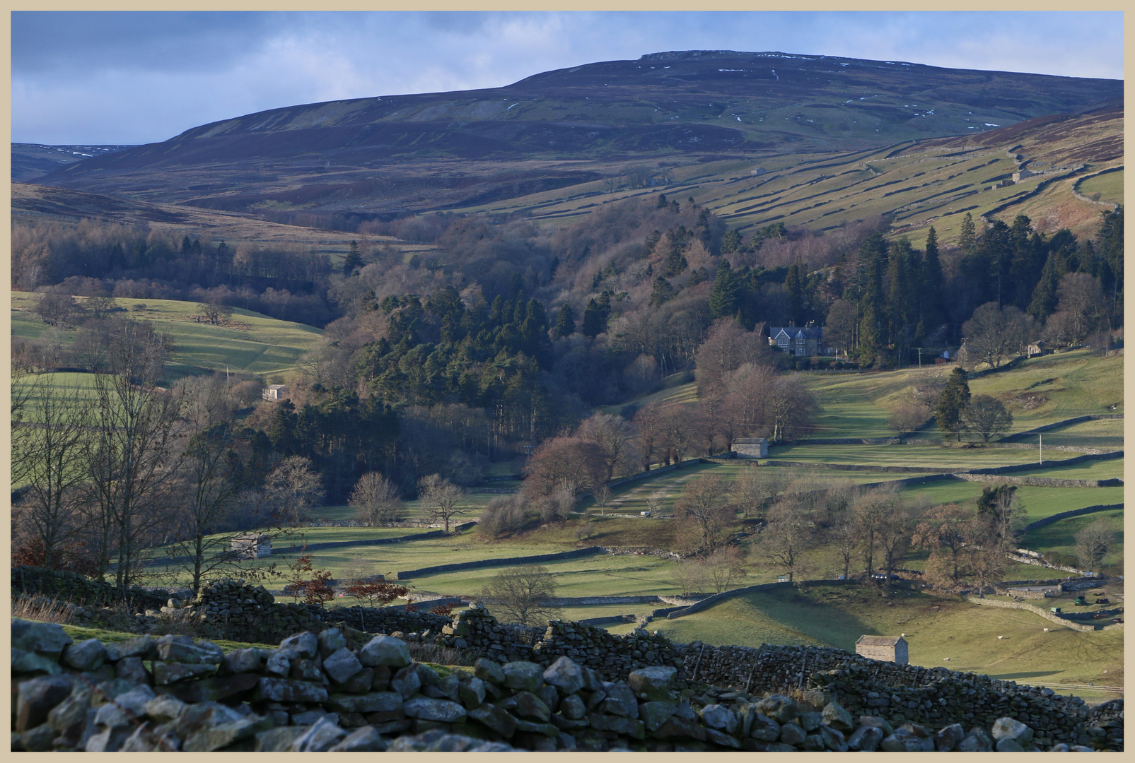 Swaledale near Reeth