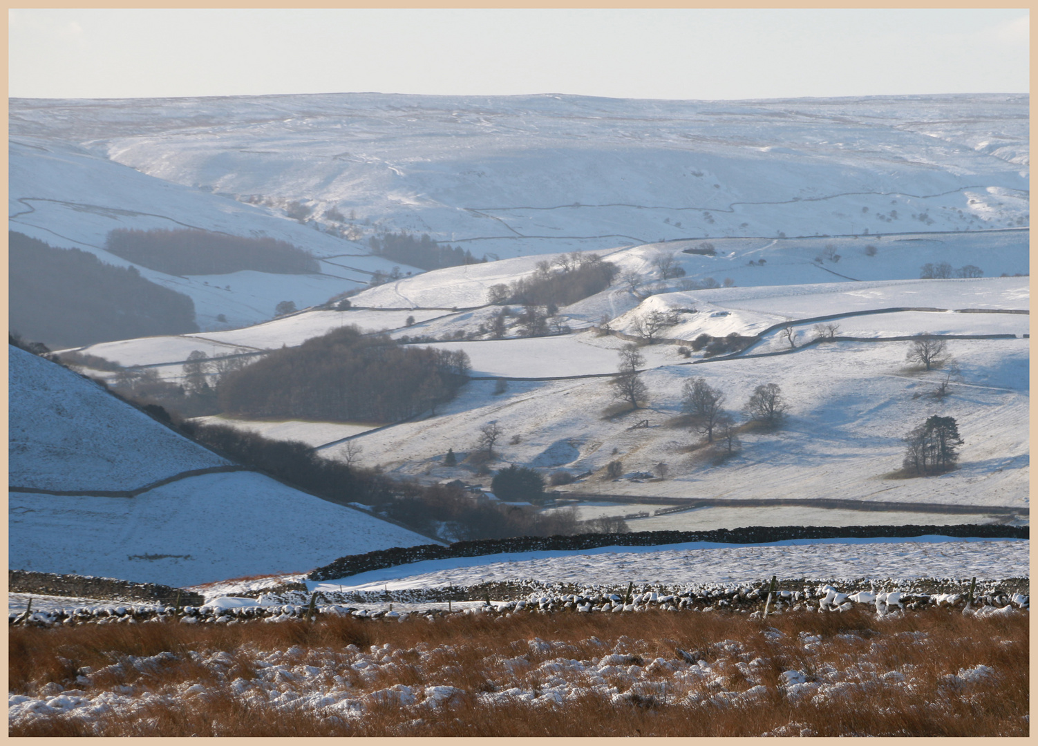 swaledale near richmond 3