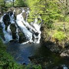 Swallow Falls in Wales