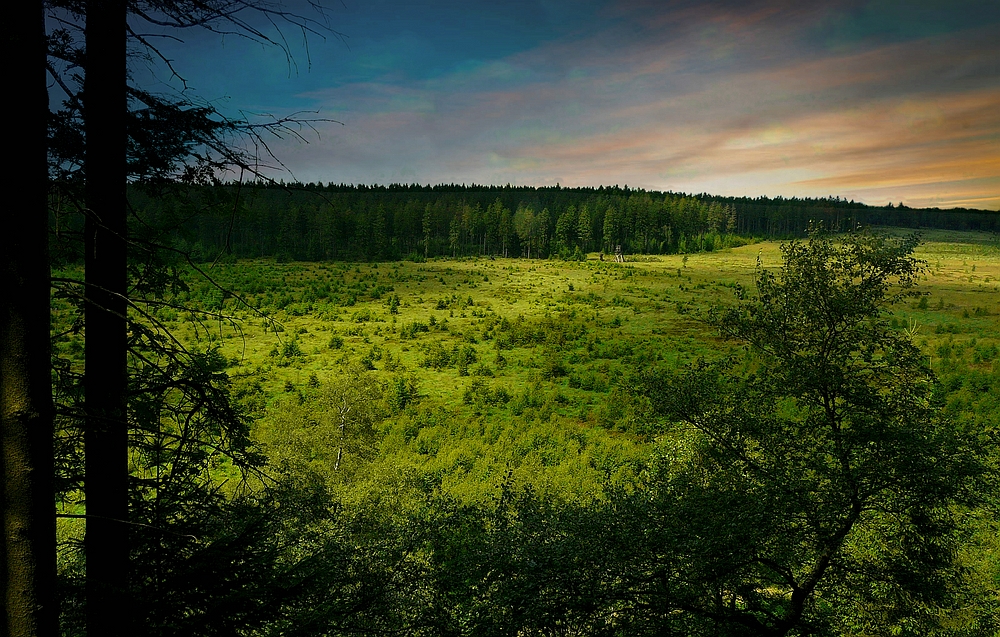 Swamp hike (32) : Sunrise over the ‘Bergervenn’