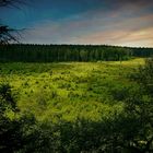 Swamp hike (32) : Sunrise over the ‘Bergervenn’