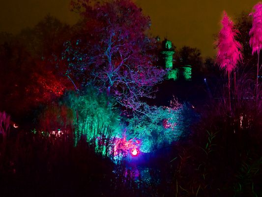 Swamp light PB161355