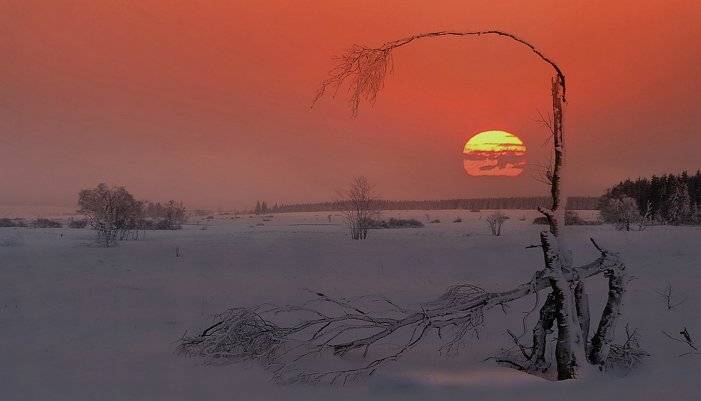 Swamp of ice and snow (10) : at sunset