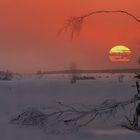 Swamp of ice and snow (10) : at sunset