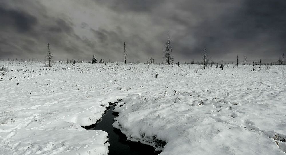 Swamp of ice and snow (11)