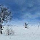 Swamp of ice and snow