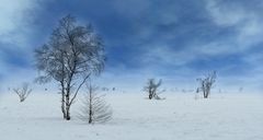 Swamp of ice and snow