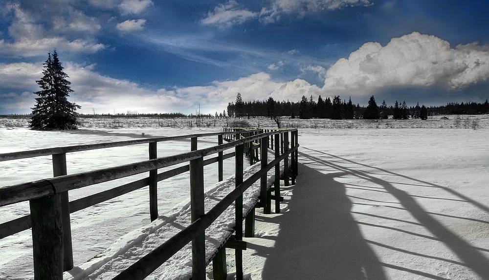 Swamp of ice and snow (2)