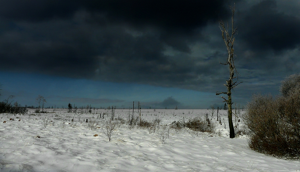 Swamp of ice and snow (20)