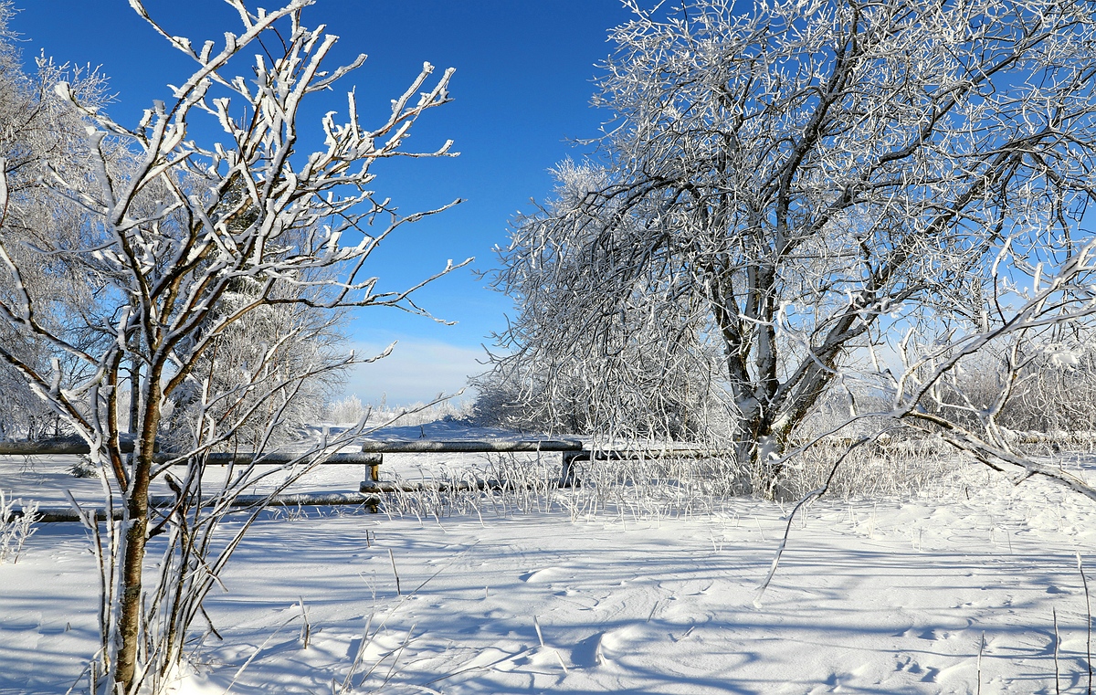 Swamp of ice and snow (23)