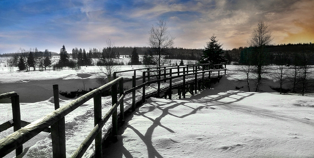 Swamp of ice and snow (3)