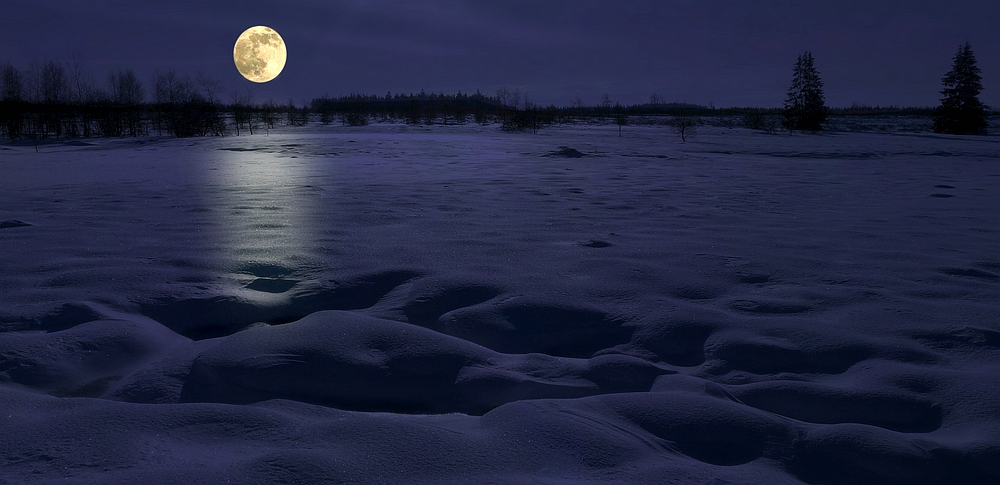 Swamp of ice and snow (4) : the night