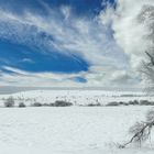 Swamp of ice and snow (8)