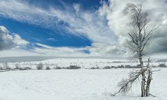 Swamp of ice and snow (8)