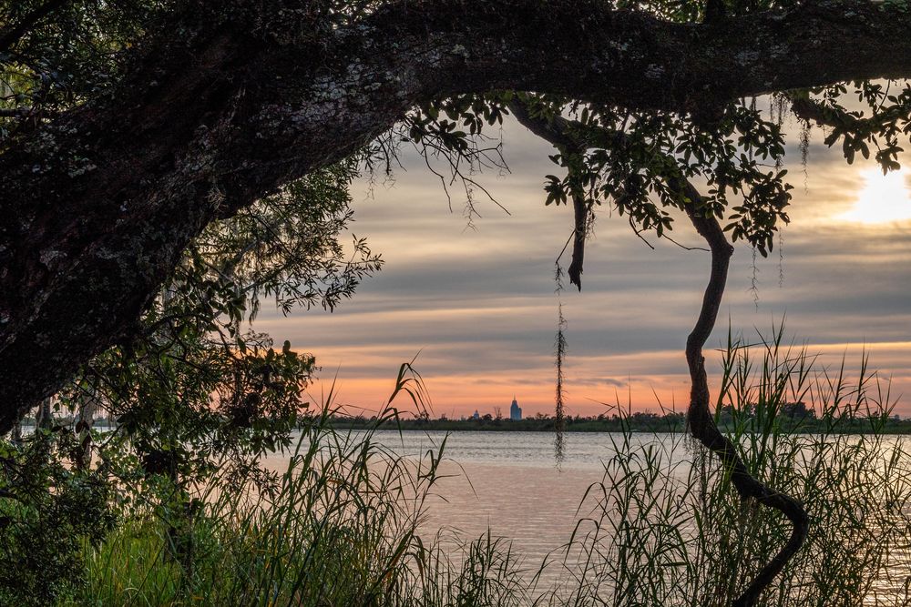 Swamp with Sunset