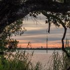 Swamp with Sunset