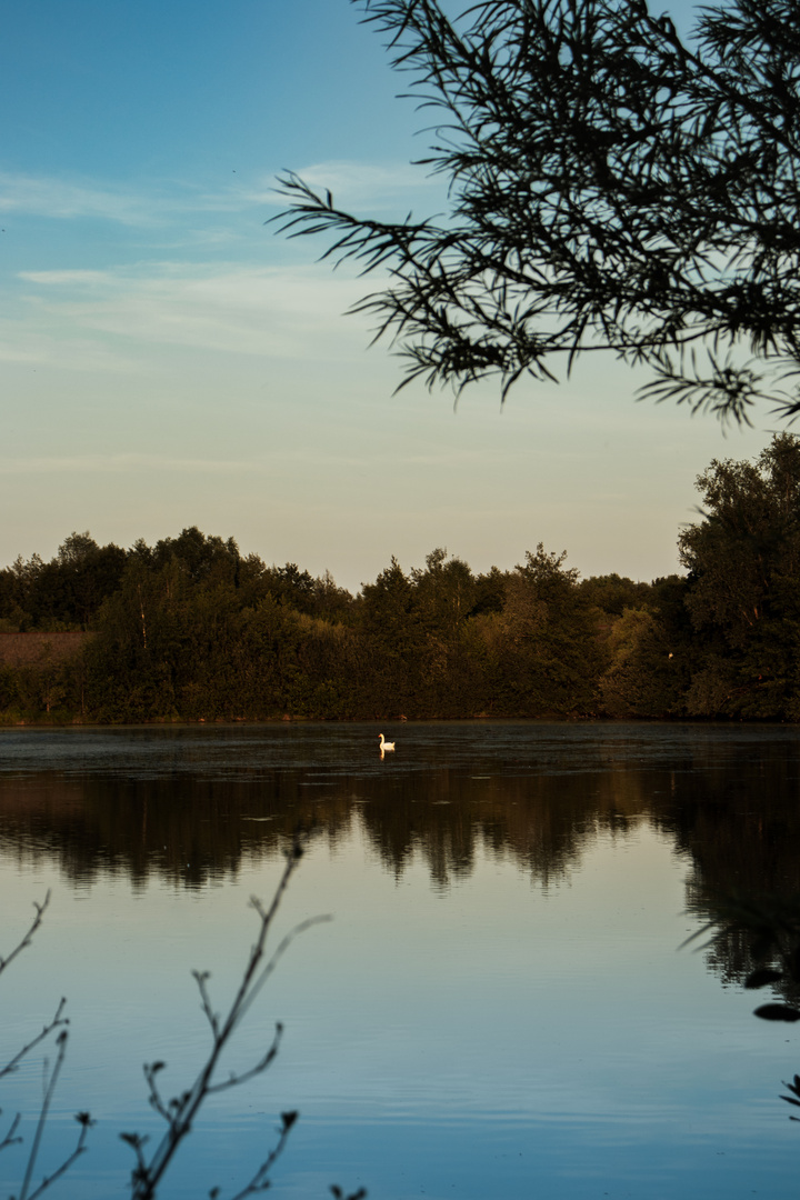 Swan 2, Dorsten Germany