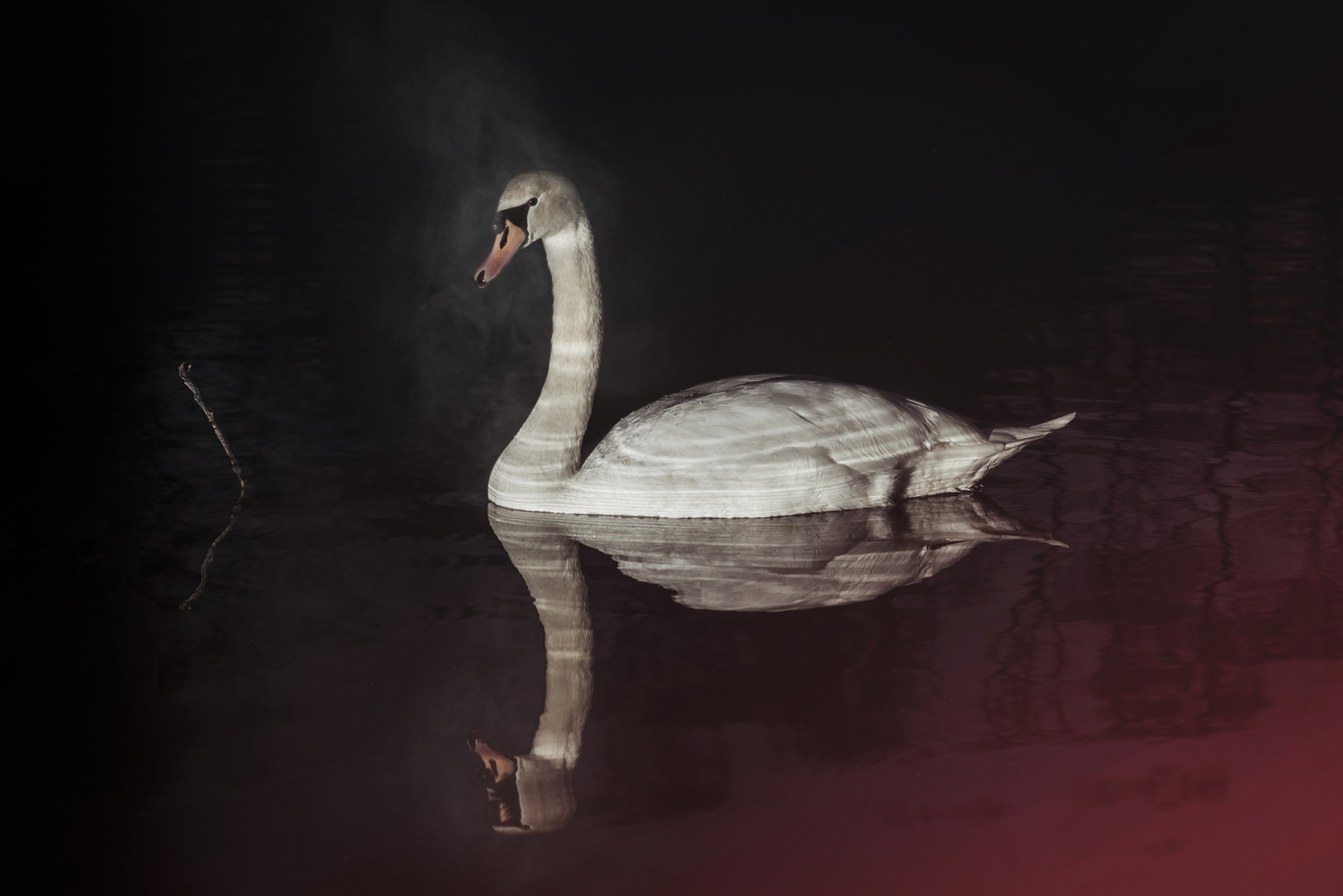 SWAN