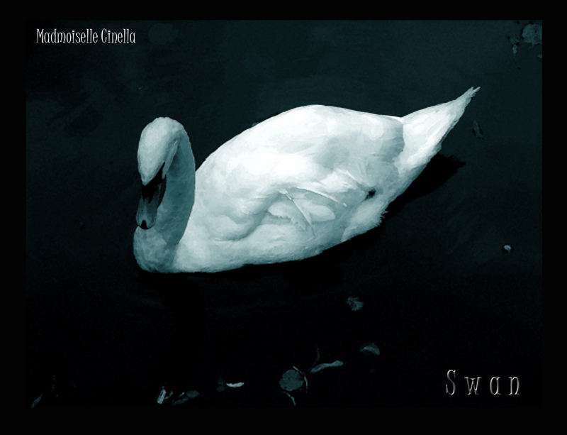 Swan ...