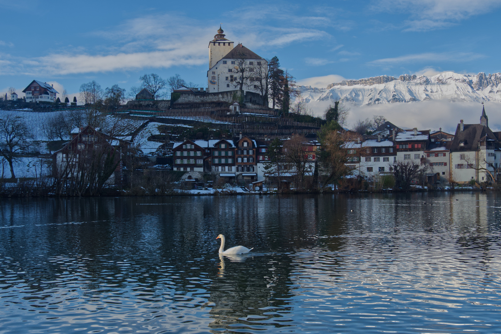 Swan and Castle