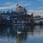 Swan and Castle