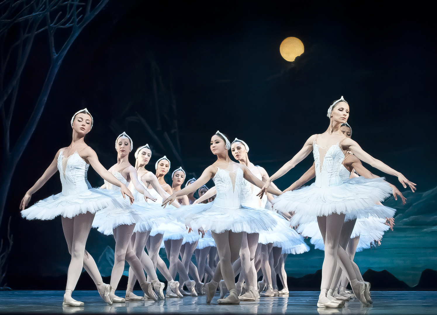 Swan Lake