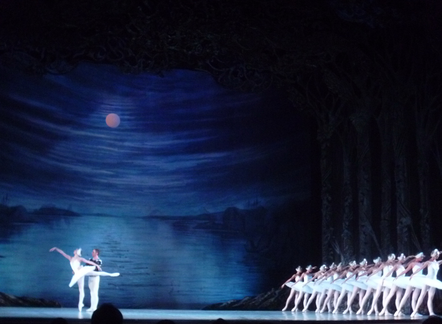 Swan Lake