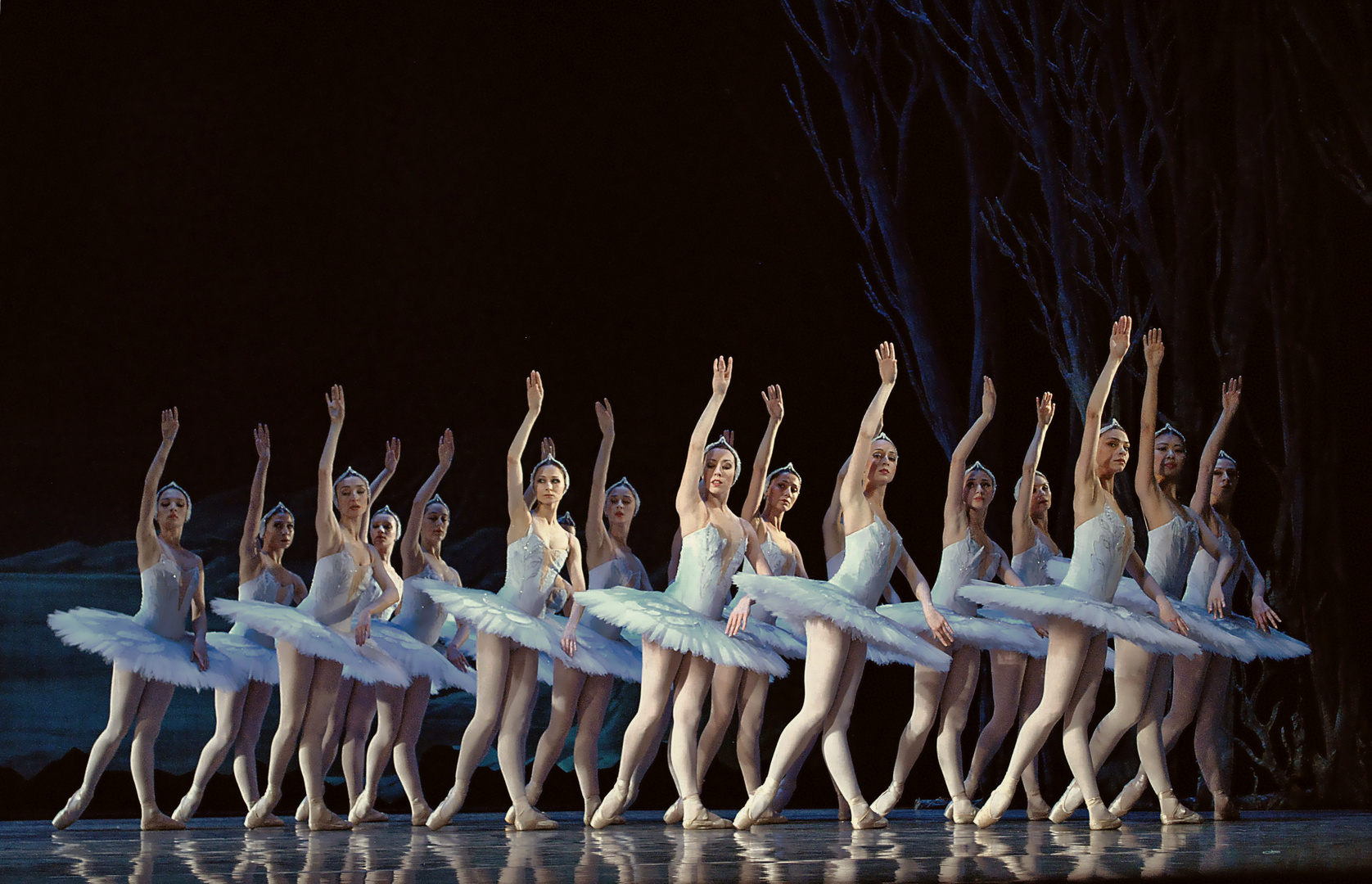 Swan Lake