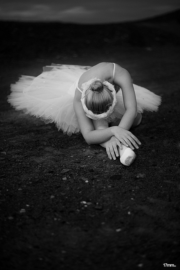 Swan Lake I