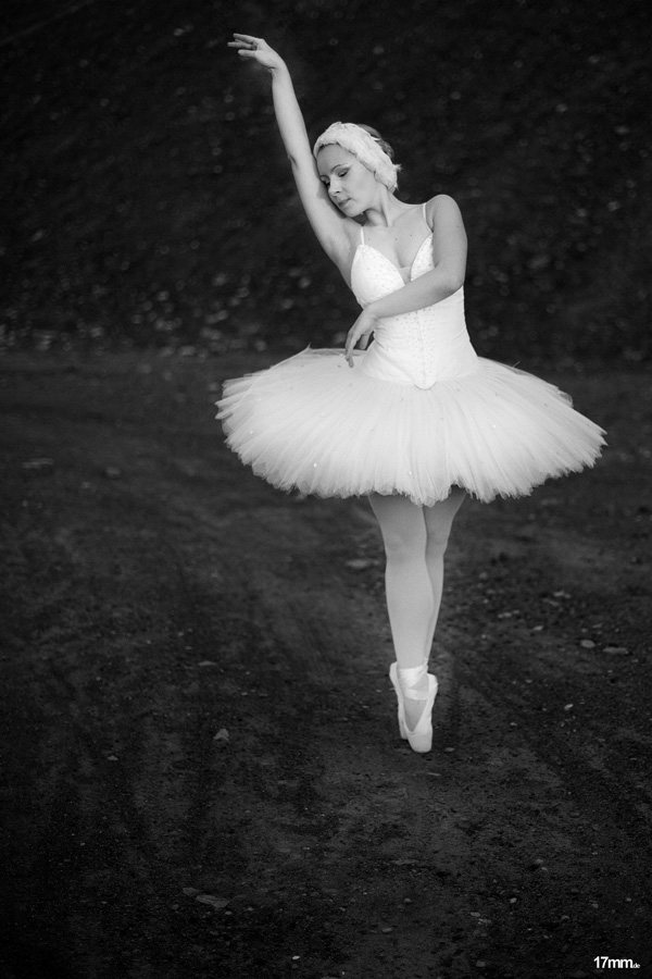 Swan Lake V